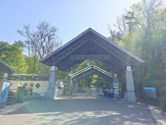 -南京老山国家森林公园