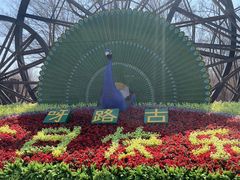 -呀路古热带植物园