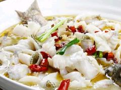 酸菜鲈鱼-黑天鹅饺子馆(河源店)