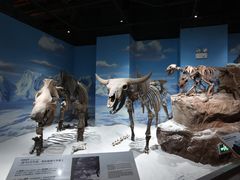 -正佳自然科学博物馆