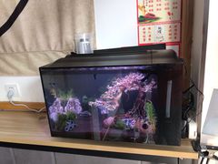 -一芳陈家台湾水果茶(荔枝沟店)
