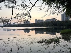 -南宁南湖公园