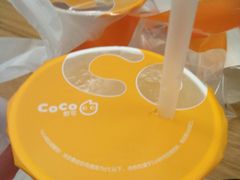 -CoCo都可(江宁托乐嘉店)