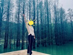 -青龙山国家森林公园