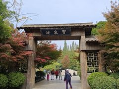 -习家池
