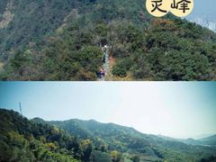 -杭州植物园