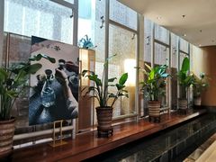-上海浦东假日酒店