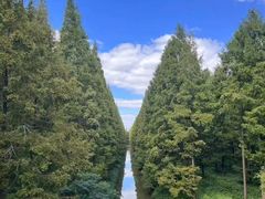 -黄海国家森林公园