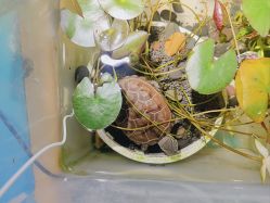 -钓虾工场·钓虾·赶海(回龙观店)