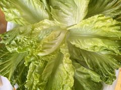 -兴隆槟榔园休闲农庄