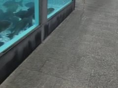 -故乡缘·香格里拉山庄(冷竹路店)