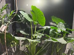 -陈熹公民族美食文化餐厅(中华广场店)