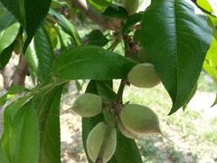 android_upload_pic-北京市海淀外国语实验学校