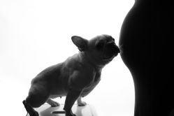 -专注孕妇照亲子照·纪田摄影