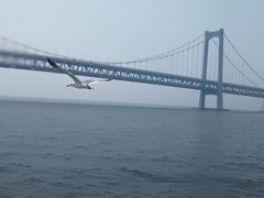 -星海湾跨海大桥
