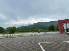 -横道河子东北虎林园