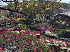-苏州上方山国家森林公园