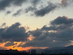-北岐滩涂