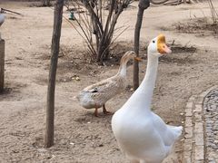 -森林公园(尖草坪区)