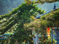 -飞霞风景名胜区