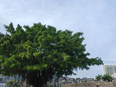 -石炮台公园