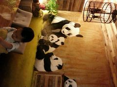 android_upload_pic-雨舍咖啡(汉神购物广场咖啡街区店)