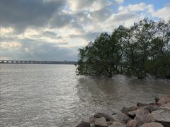 -宝安西湾红树林湿地公园