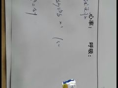 -甄爱宠物医院(疏影路店)