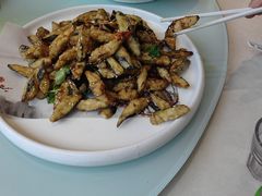 -添福来墨鱼饺子 · 海鲜东北菜(大连星海·黄浦路店)