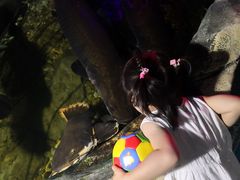 -无锡海洋馆