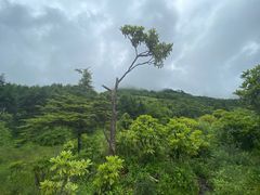 -硗碛藏寨·神木垒景区