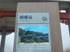 -梧桐山风景名胜区