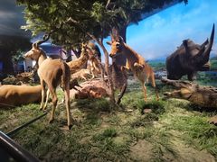 -国家自然博物馆