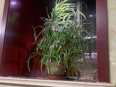 -公寓家常菜馆(海军博物馆店)