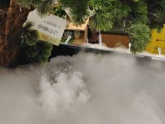 -洪氏嗨捞·猪肚鸡火锅(阳光天地店)