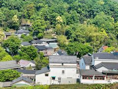 -龙井壹号·茶缘山景宴(龙井村店)