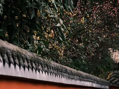 -成都杜甫草堂博物馆