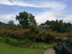 -铁山坪森林公园