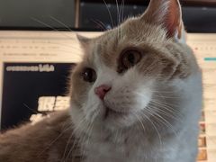 -南丰汇(新港东路店)