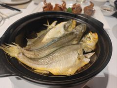 -春满园·早茶·粤菜·宴会(前海店)