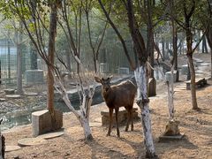 -观唐（国际）度假村温泉