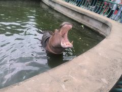 -哈尔滨北方森林动物园