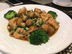 -新兴·金羊座·粤菜点心(乐峰店)