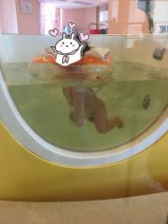 -喜宝母婴月子会所