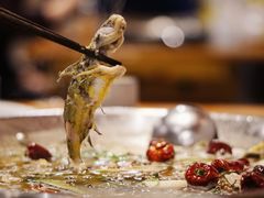 三角峰-小饕荟雅安贡椒鱼鲜馆(广福桥店)