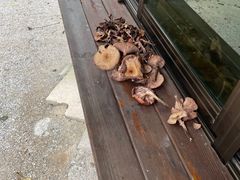 -龙道沟景区