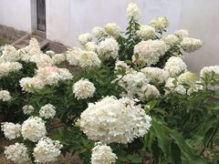 -普陀宗乘之庙(小布达拉宫)