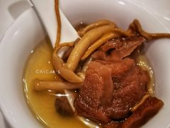 鸡汤浸鹿茸菇-尚都餐饮