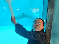 -海合安成都极地海洋公园