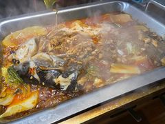 -黑猫馋纸包鱼(阳光店)